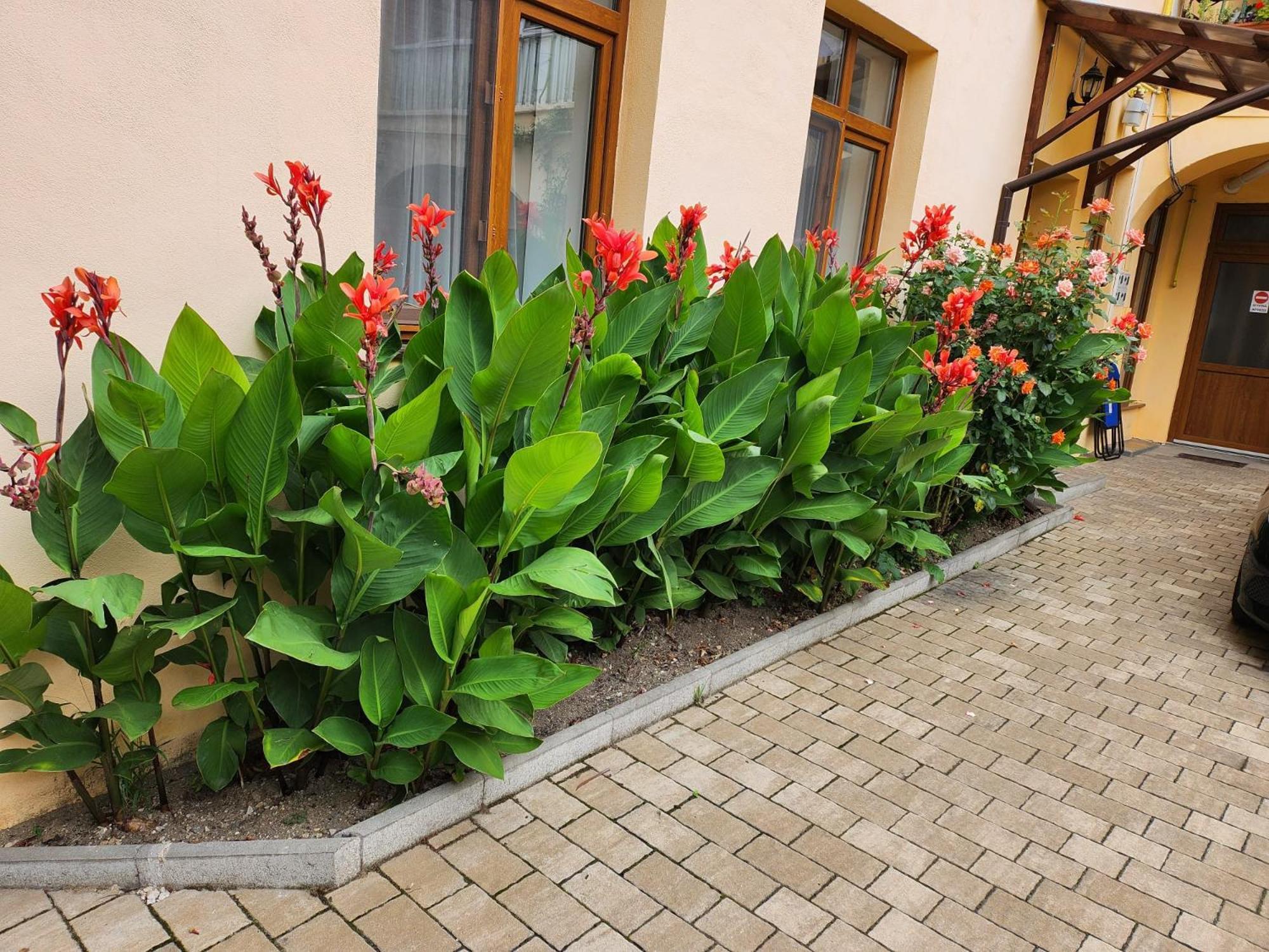 4rooms Guest house Sibiu